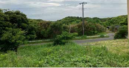 ラ・コスタ館山 F-6区画（土地）