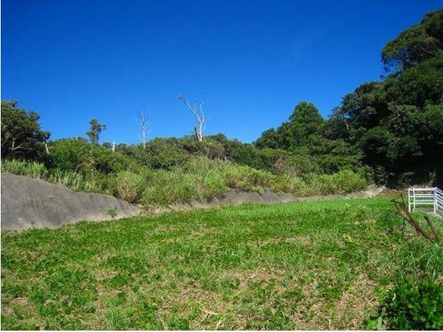 勝浦市墨名売地